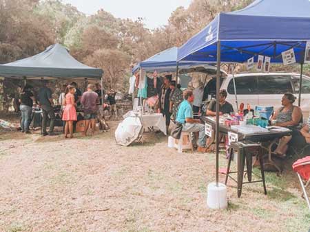 Bunya Festival Warwick