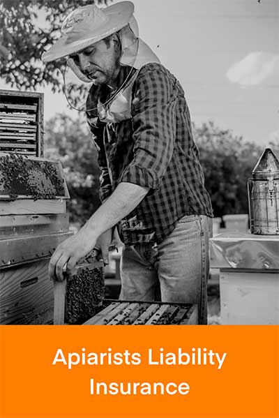 Beekeeper tending to his bees